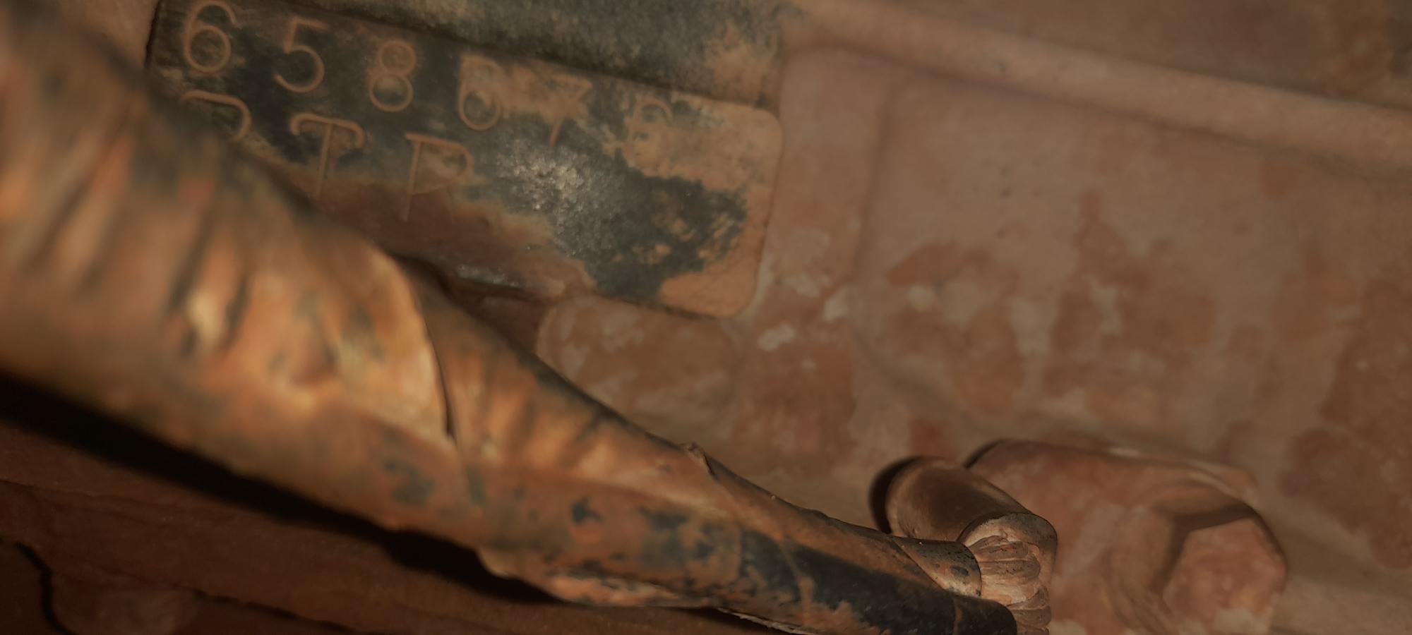 The Last of us