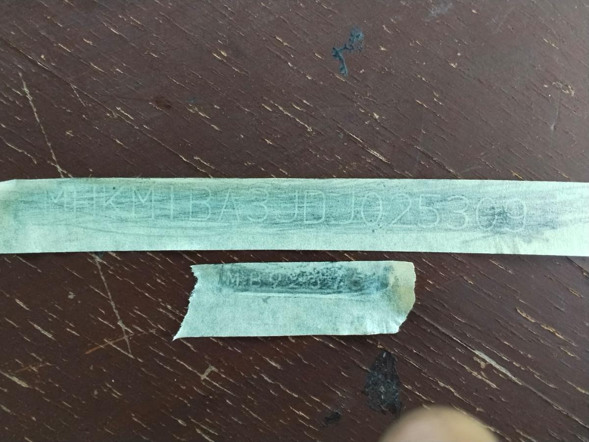 The Last of us