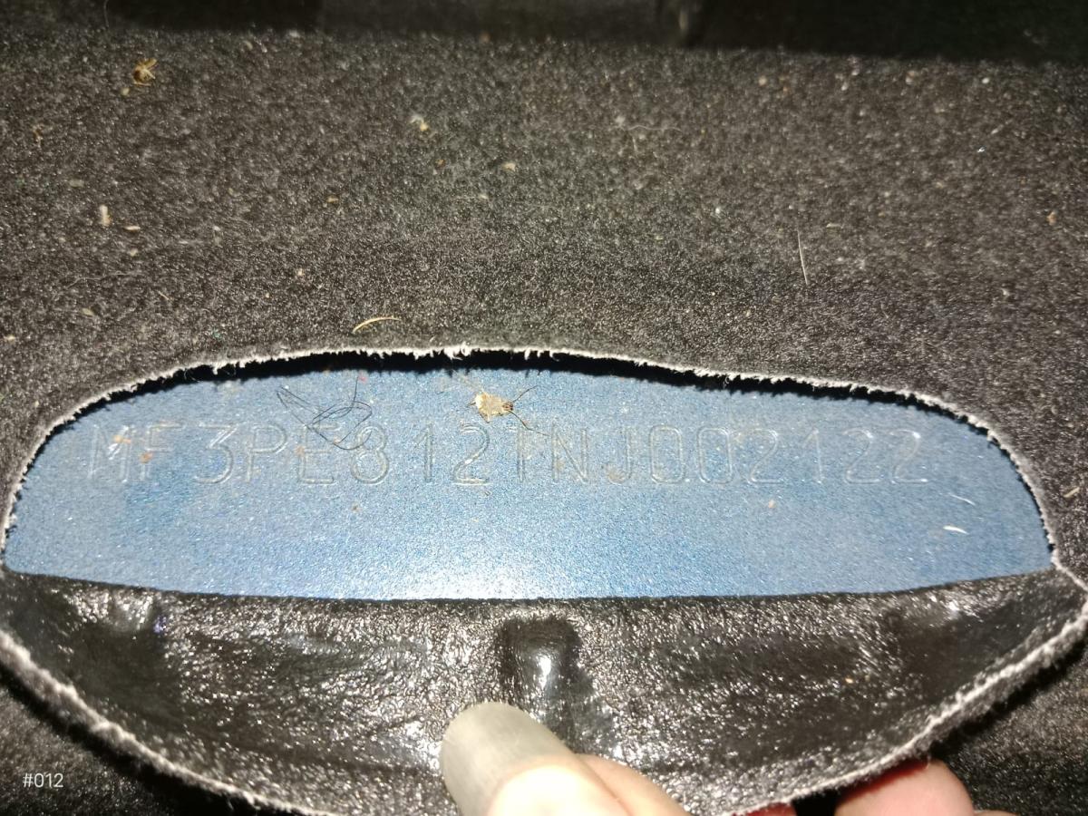 The Last of us
