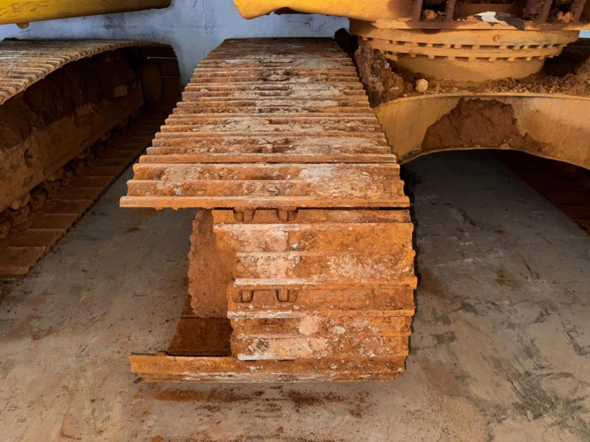 The Last of us