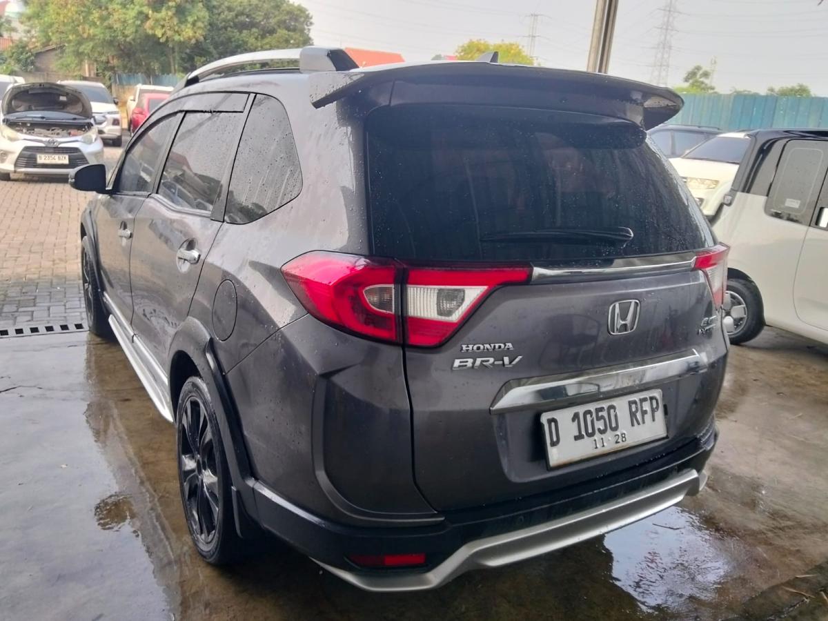 The Last of us