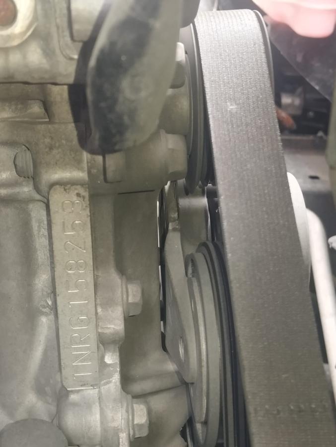 The Last of us