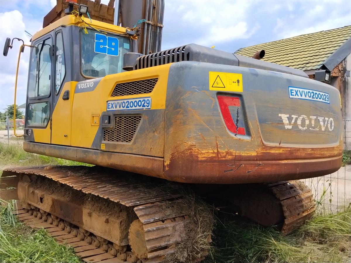 The Last of us
