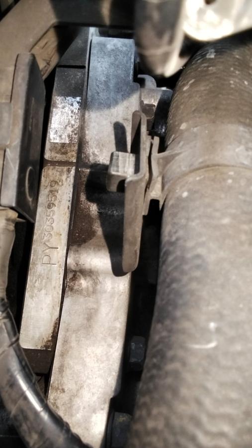 The Last of us
