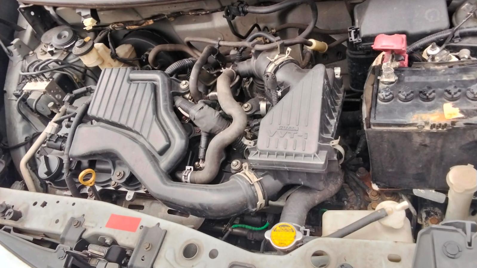 The Last of us
