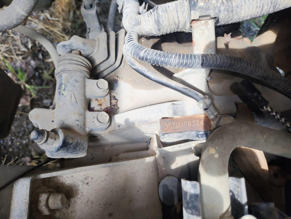 The Last of us