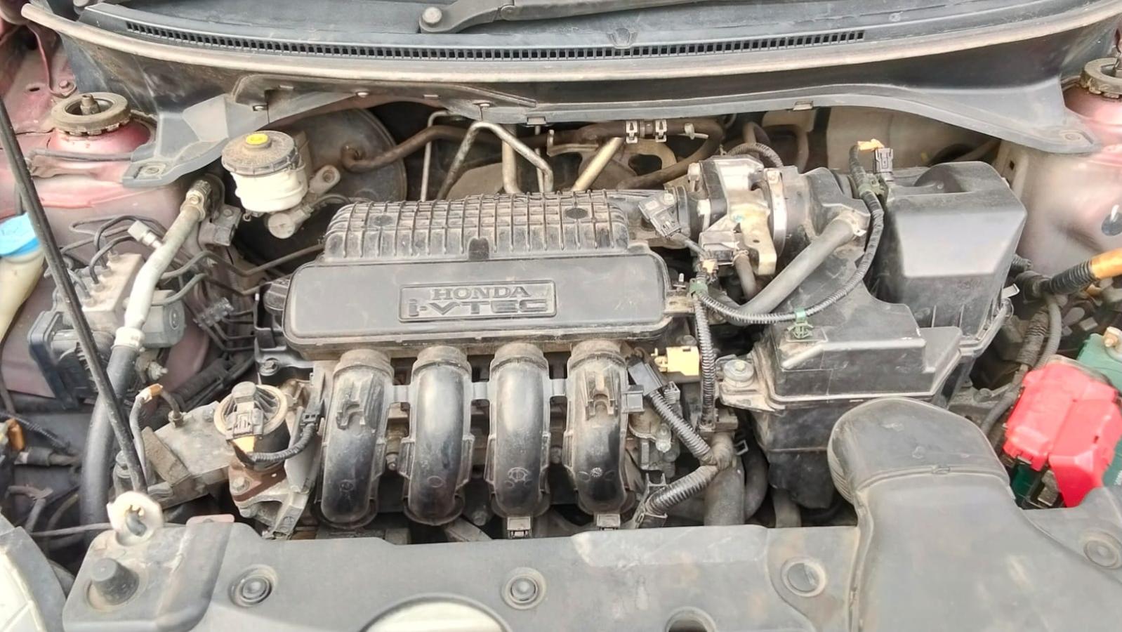 The Last of us