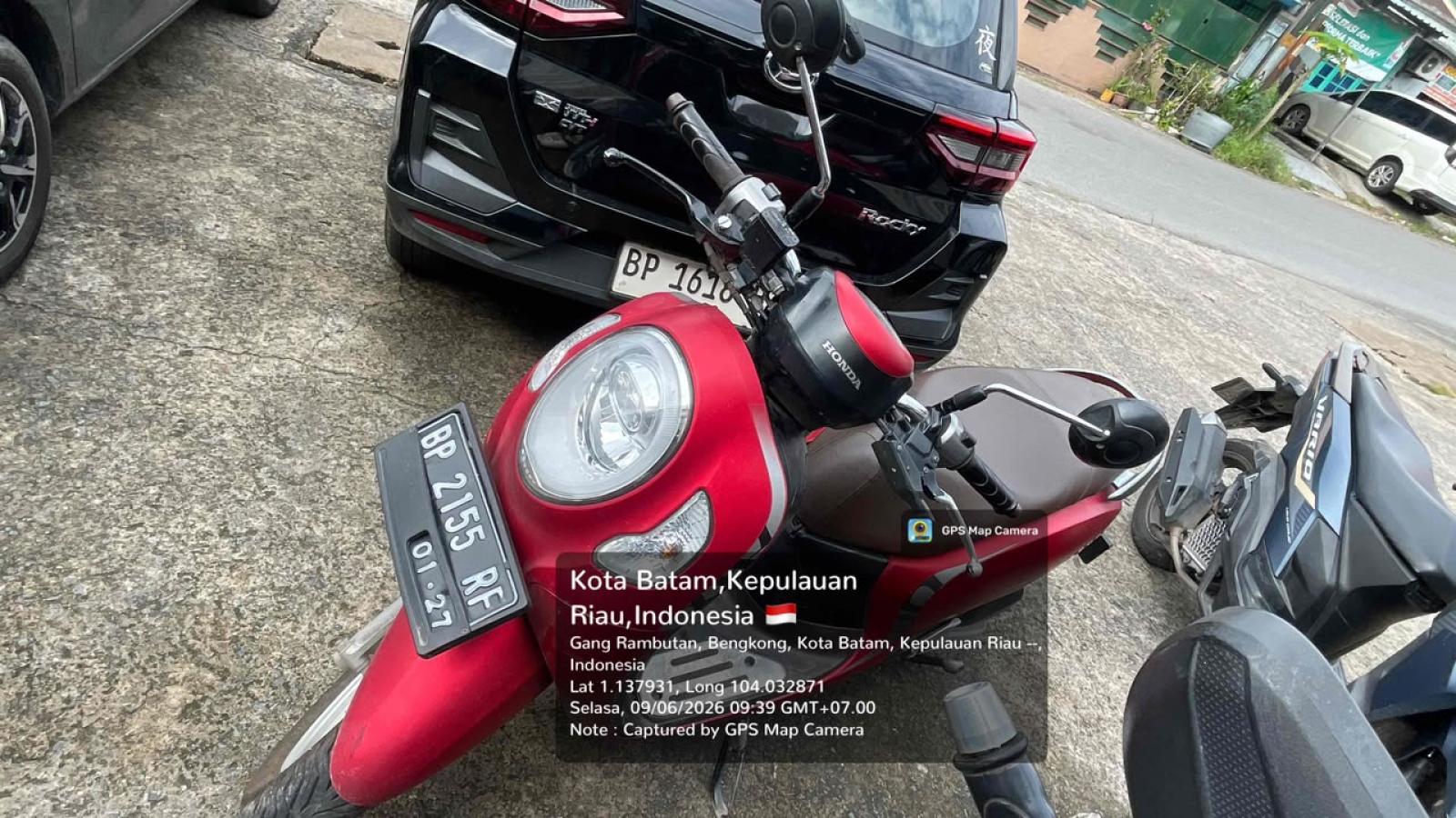 The Last of us